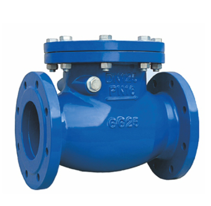 check-valve